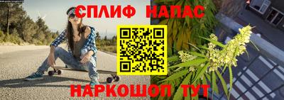 гидра Анжеро-Судженск