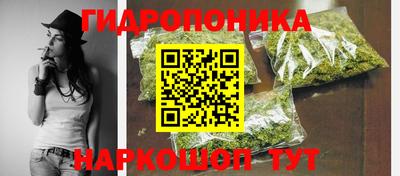 гидра Анжеро-Судженск