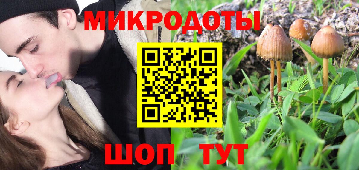 Галлюциногенные грибы Cubensis Гатчина