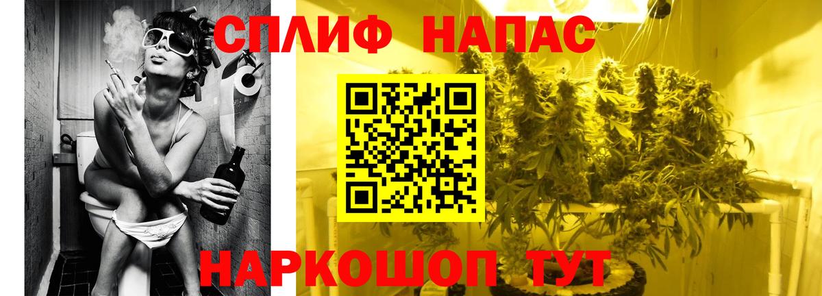 Каннабис OG Kush Гатчина